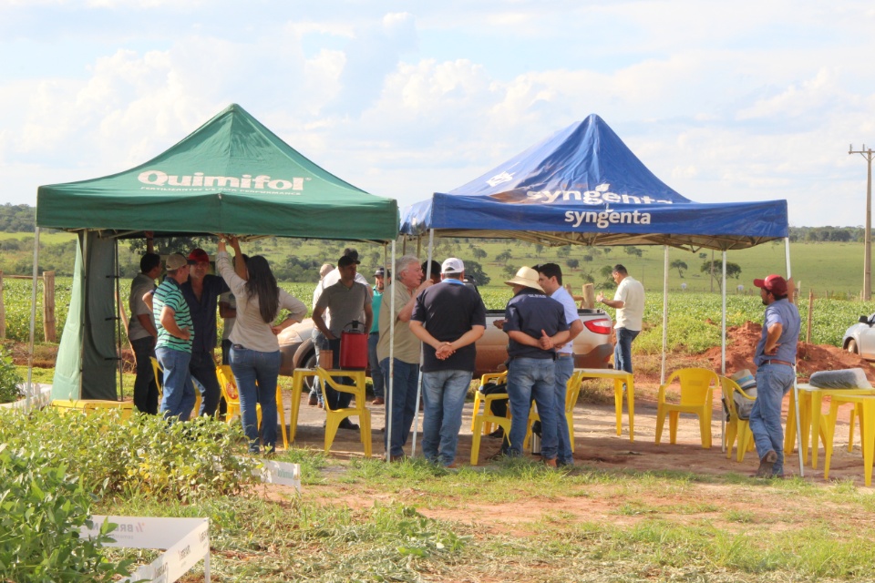 Cooper Alfa realiza a segunda edição do “Dia de Campo Alfa” em Nova Alvorada do Sul