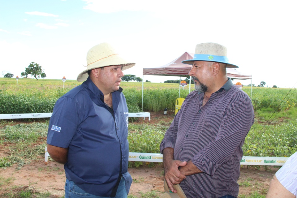 Cooper Alfa realiza a segunda edição do “Dia de Campo Alfa” em Nova Alvorada do Sul