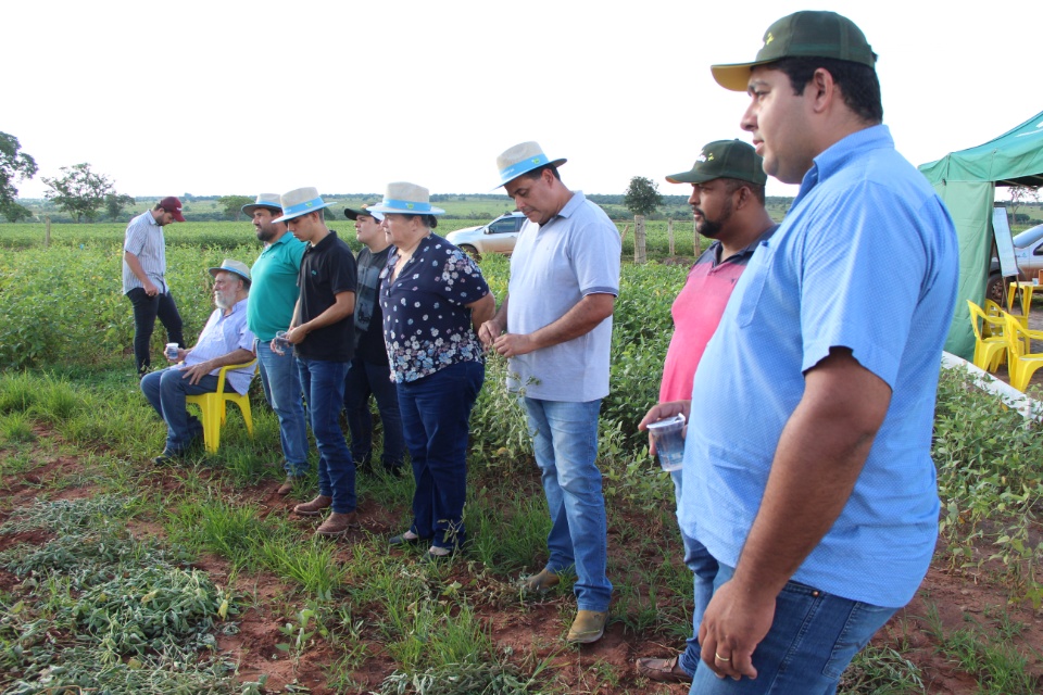 Cooper Alfa realiza a segunda edição do “Dia de Campo Alfa” em Nova Alvorada do Sul