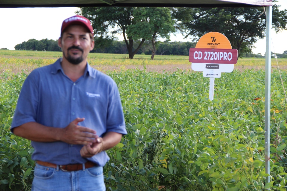 Cooper Alfa realiza a segunda edição do “Dia de Campo Alfa” em Nova Alvorada do Sul