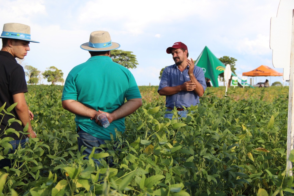 Cooper Alfa realiza a segunda edição do “Dia de Campo Alfa” em Nova Alvorada do Sul