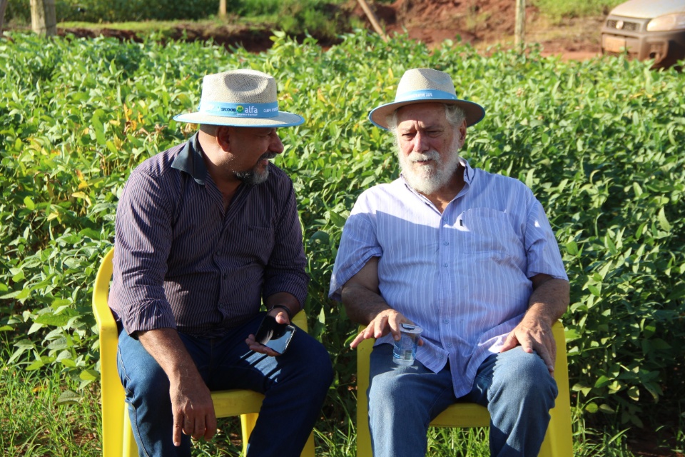 Cooper Alfa realiza a segunda edição do “Dia de Campo Alfa” em Nova Alvorada do Sul