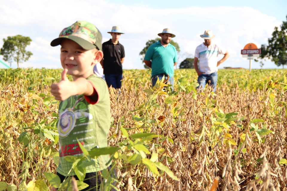 Cooper Alfa realiza a segunda edição do “Dia de Campo Alfa” em Nova Alvorada do Sul