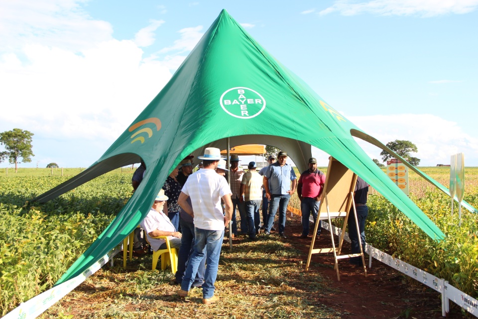 Cooper Alfa realiza a segunda edição do “Dia de Campo Alfa” em Nova Alvorada do Sul