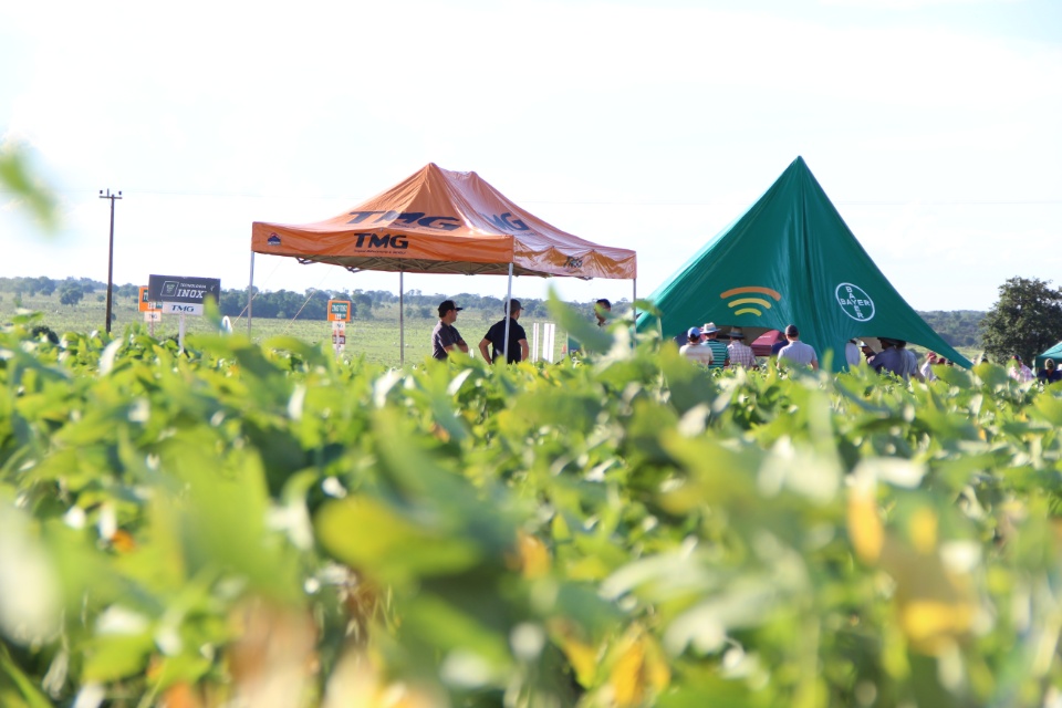 Cooper Alfa realiza a segunda edição do “Dia de Campo Alfa” em Nova Alvorada do Sul