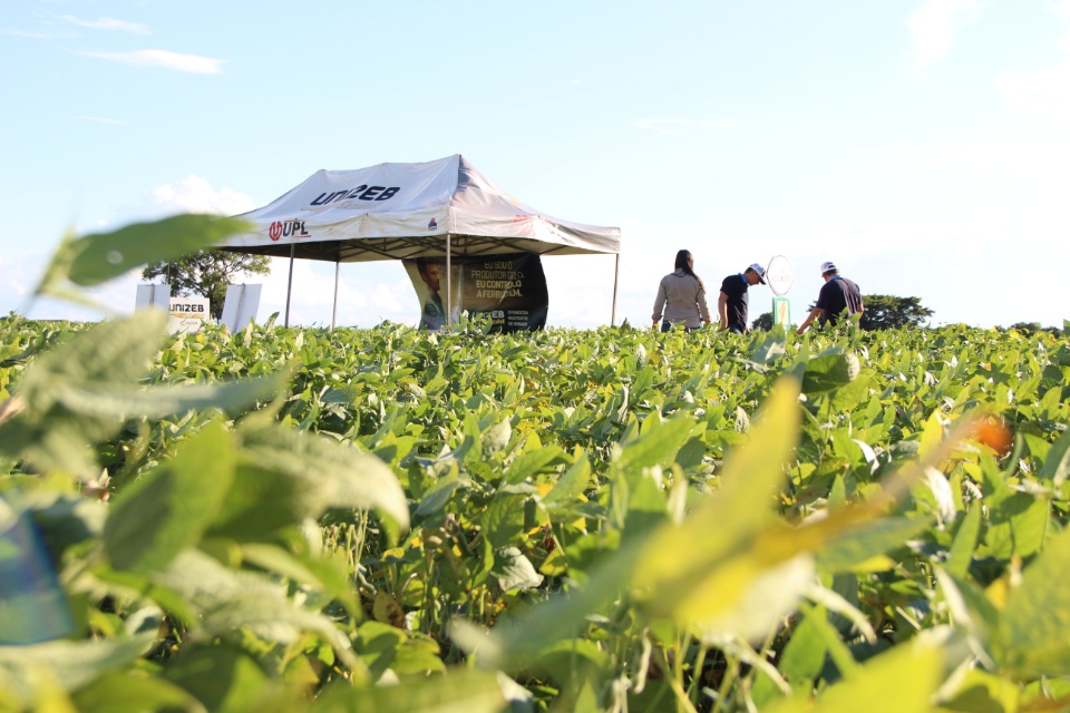 Cooper Alfa realiza a segunda edição do “Dia de Campo Alfa” em Nova Alvorada do Sul