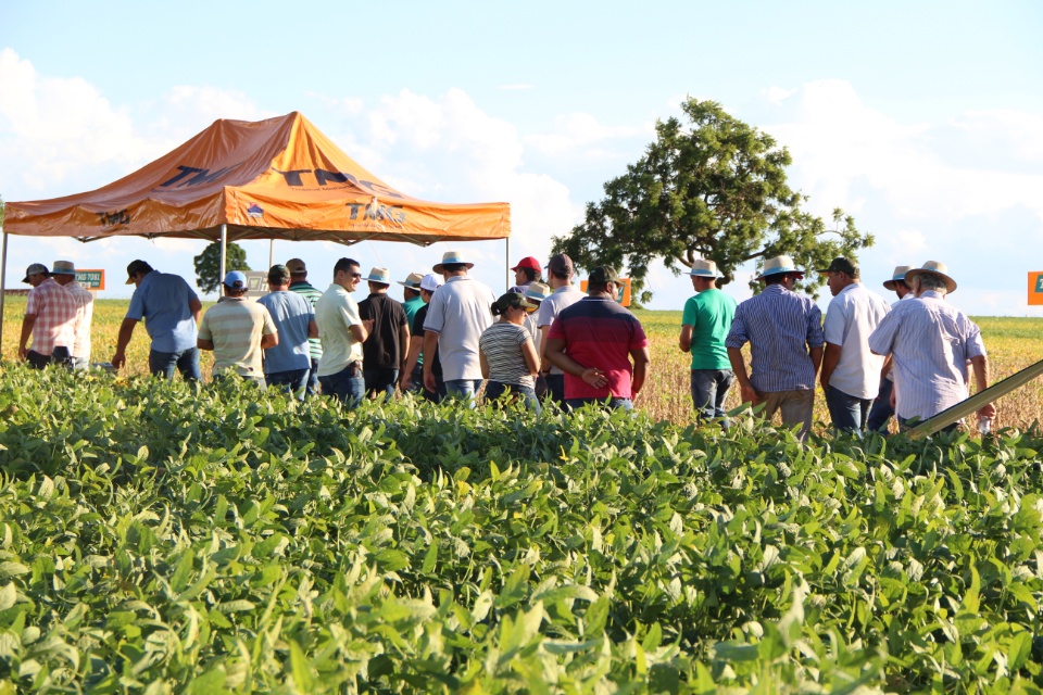 Cooper Alfa realiza a segunda edição do “Dia de Campo Alfa” em Nova Alvorada do Sul