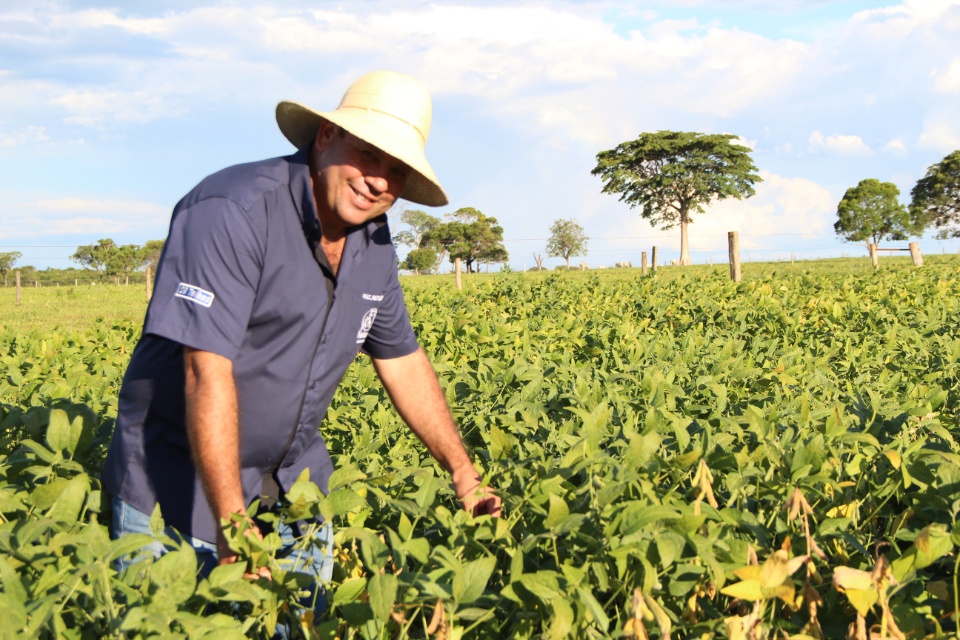 Cooper Alfa realiza a segunda edição do “Dia de Campo Alfa” em Nova Alvorada do Sul