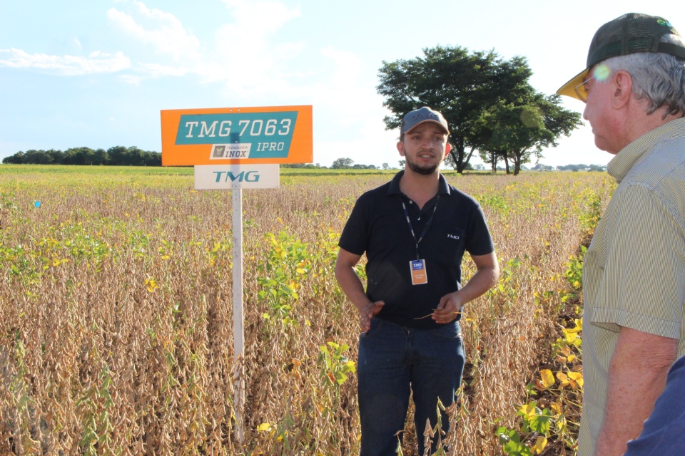 Cooper Alfa realiza a segunda edição do “Dia de Campo Alfa” em Nova Alvorada do Sul