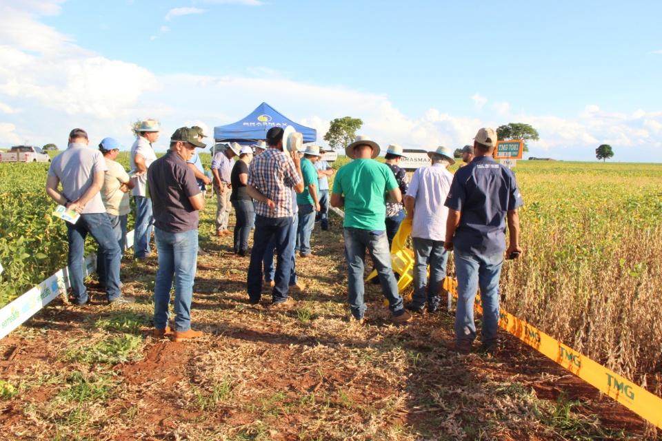 Cooper Alfa realiza a segunda edição do “Dia de Campo Alfa” em Nova Alvorada do Sul