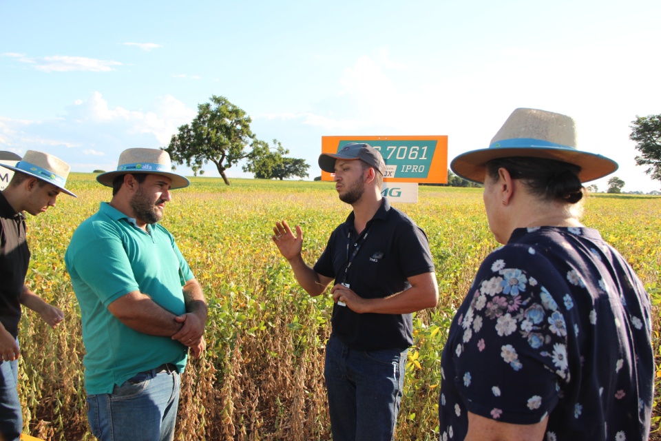 Cooper Alfa realiza a segunda edição do “Dia de Campo Alfa” em Nova Alvorada do Sul