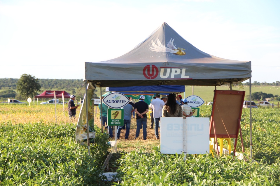 Cooper Alfa realiza a segunda edição do “Dia de Campo Alfa” em Nova Alvorada do Sul