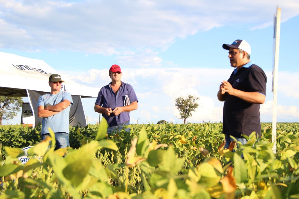 Cooper Alfa realiza a segunda edição do “Dia de Campo Alfa” em Nova Alvorada do Sul