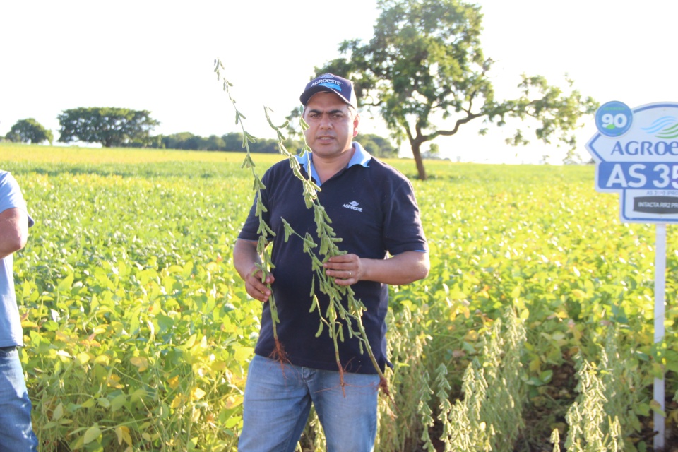 Cooper Alfa realiza a segunda edição do “Dia de Campo Alfa” em Nova Alvorada do Sul