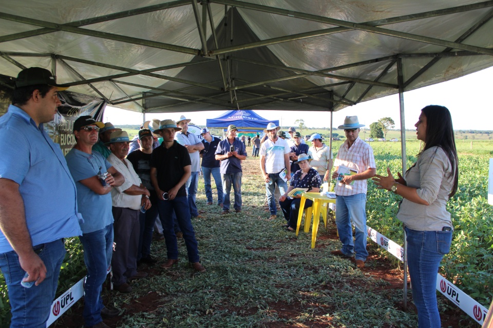 Cooper Alfa realiza a segunda edição do “Dia de Campo Alfa” em Nova Alvorada do Sul