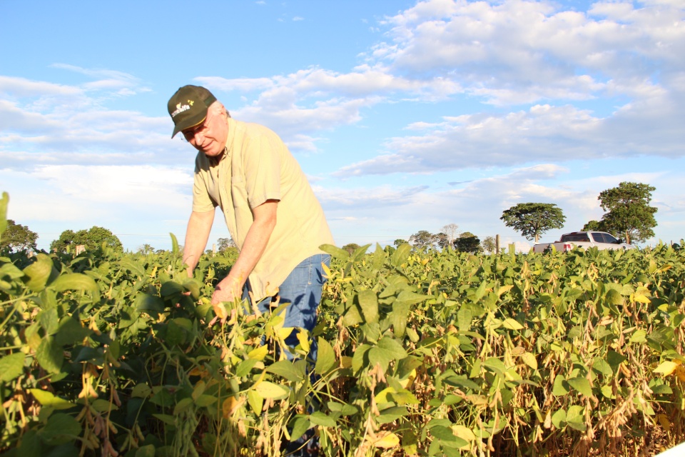 Cooper Alfa realiza a segunda edição do “Dia de Campo Alfa” em Nova Alvorada do Sul