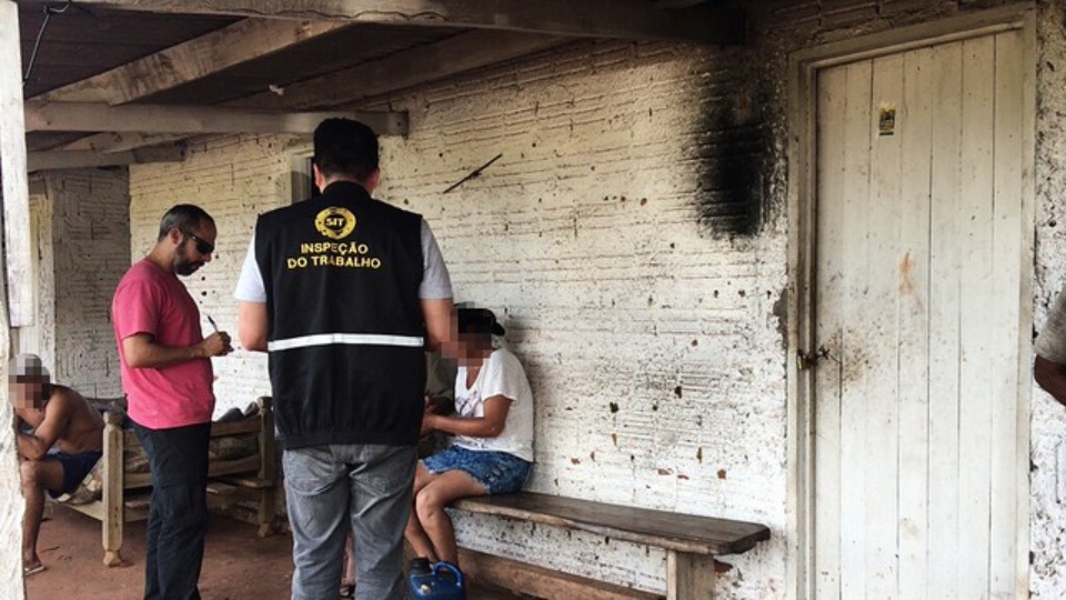 Seis trabalhadores em condições análogas às de escravo são resgatados de carvoaria em Rochedo