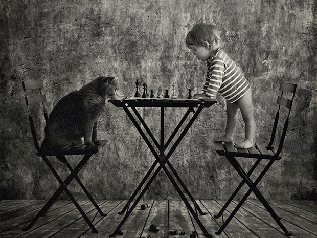 Galeria de fotos: O amor entre uma menina e seu gato