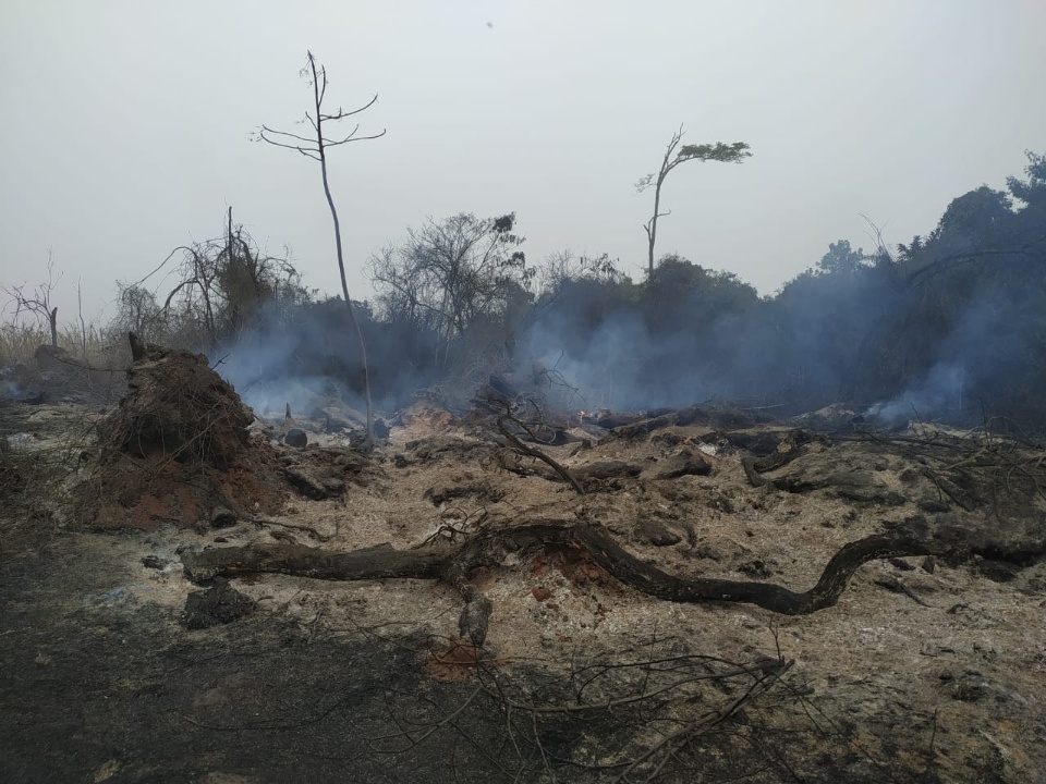 Polícia Militar Ambiental autua usina sucroenergética em R$ 953 mil por incêndio em lavoura de cana sem autorização