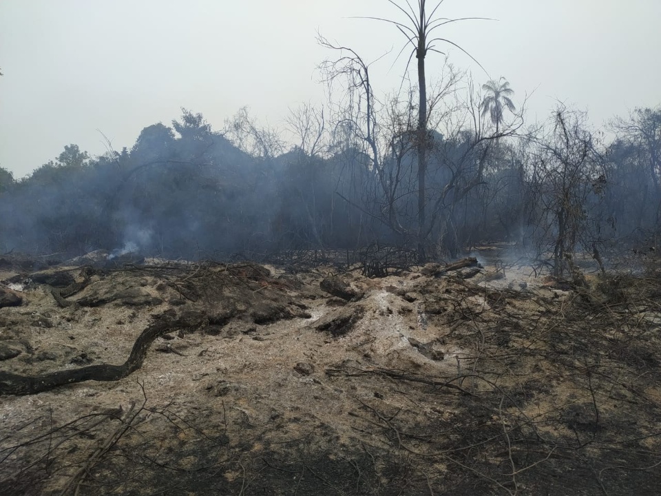 Polícia Militar Ambiental autua usina sucroenergética em R$ 953 mil por incêndio em lavoura de cana sem autorização