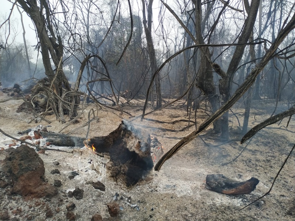 Polícia Militar Ambiental autua usina sucroenergética em R$ 953 mil por incêndio em lavoura de cana sem autorização