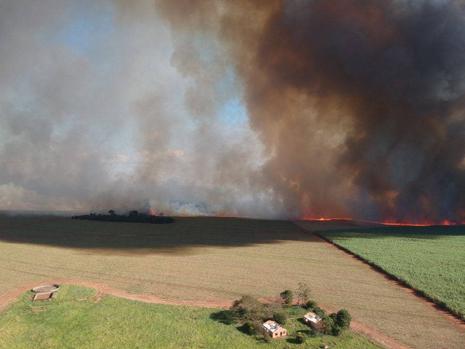 Polícia Militar Ambiental autua usina sucroenergética em R$ 953 mil por incêndio em lavoura de cana sem autorização