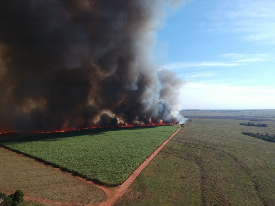 Polícia Militar Ambiental autua usina sucroenergética em R$ 953 mil por incêndio em lavoura de cana sem autorização