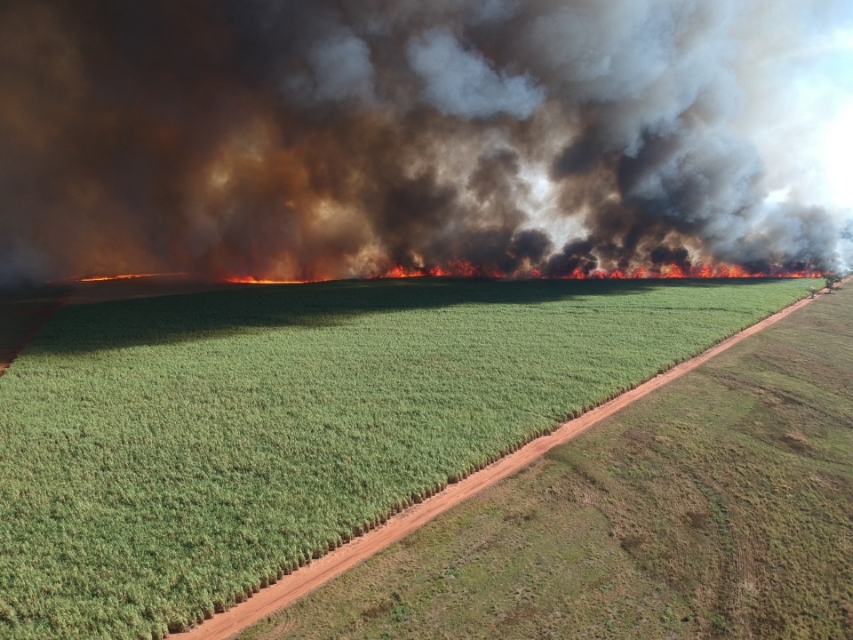 Polícia Militar Ambiental autua usina sucroenergética em R$ 953 mil por incêndio em lavoura de cana sem autorização