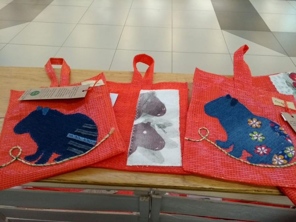 Artesã une criatividade e sustentabilidade em negócio social que valoriza flora e fauna regional