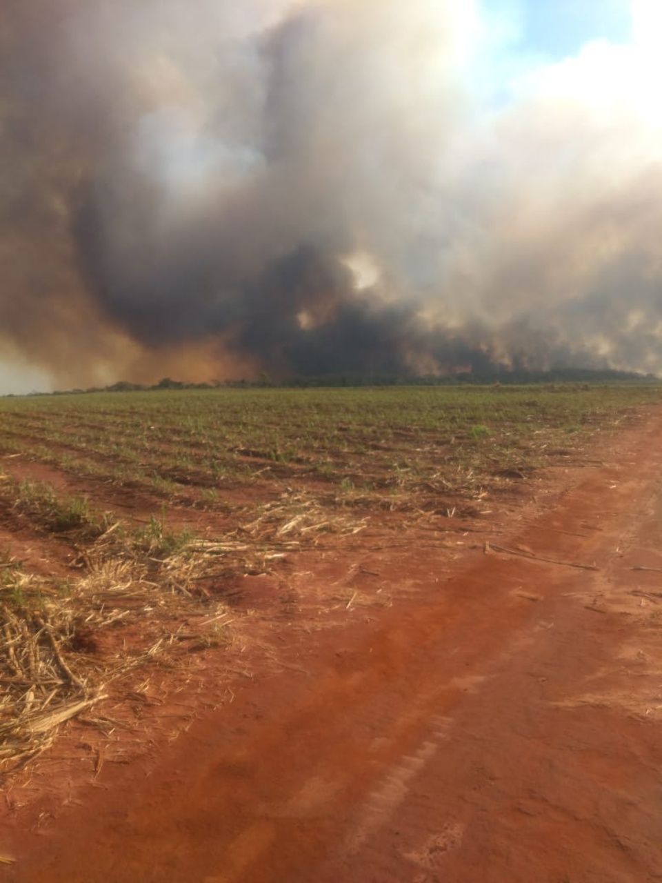 Incêndio de grandes proporções atinge mais de cinco fazendas em Nova Alvorada do Sul