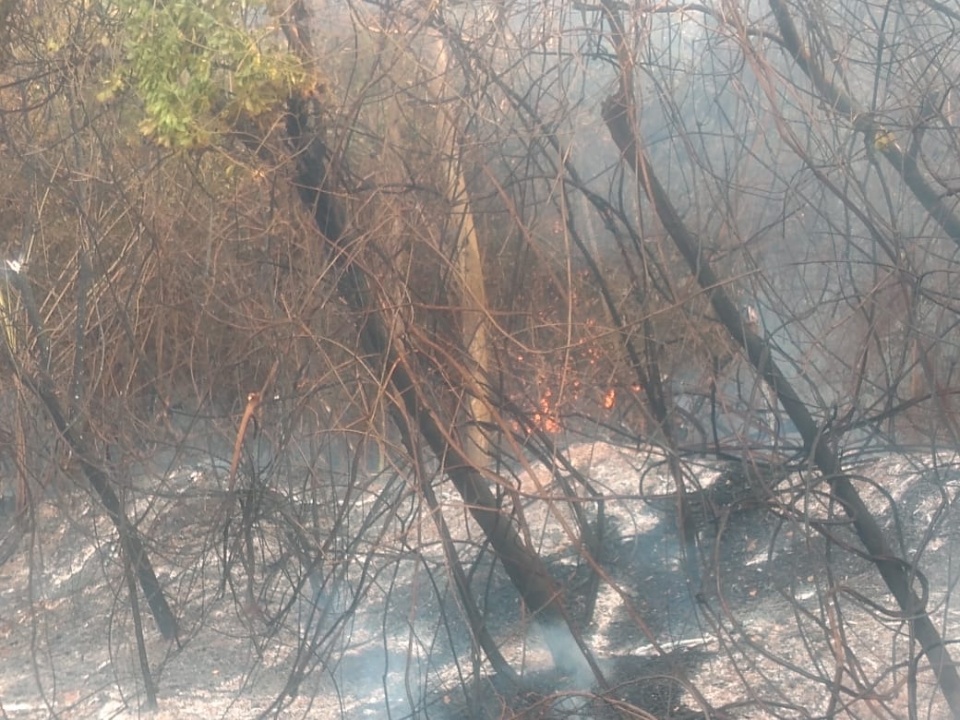 Incêndio de grandes proporções atinge mais de cinco fazendas em Nova Alvorada do Sul