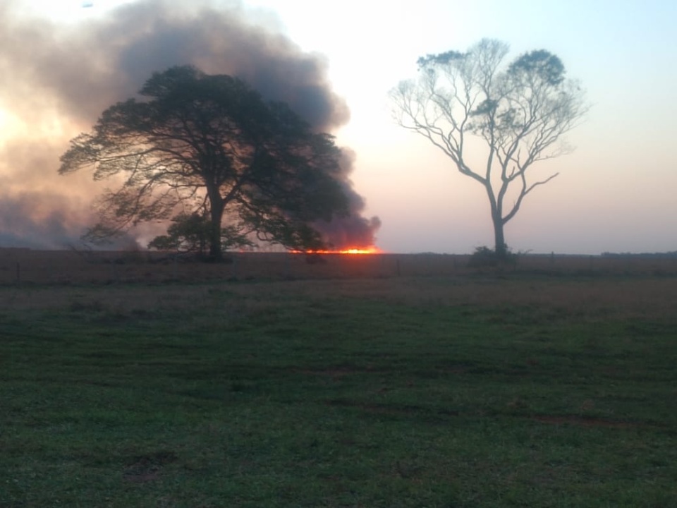 Incêndio de grandes proporções atinge mais de cinco fazendas em Nova Alvorada do Sul