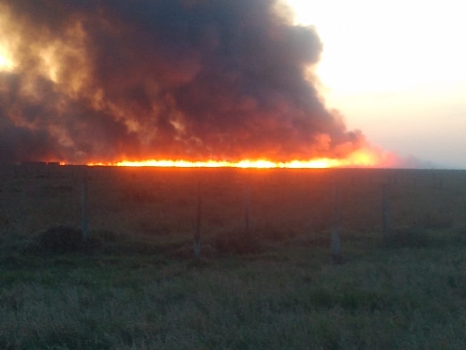 Incêndio de grandes proporções atinge mais de cinco fazendas em Nova Alvorada do Sul