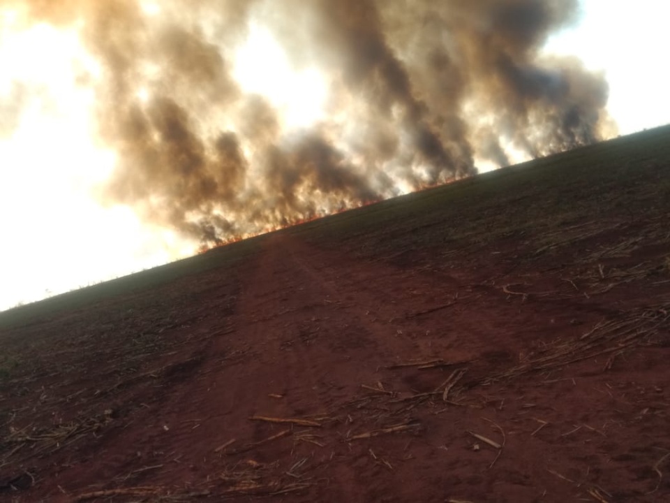 Incêndio de grandes proporções atinge mais de cinco fazendas em Nova Alvorada do Sul