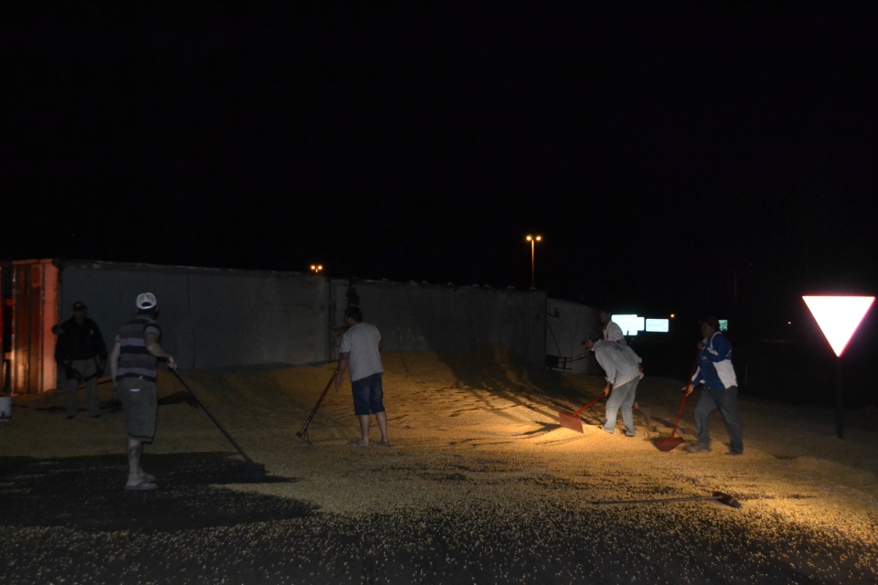 Carreta com 37 toneladas de Milho tomba em Nova Alvorada do Sul Carreta com 37 toneladas de Milho tomba em Nova Alvorada do Sul