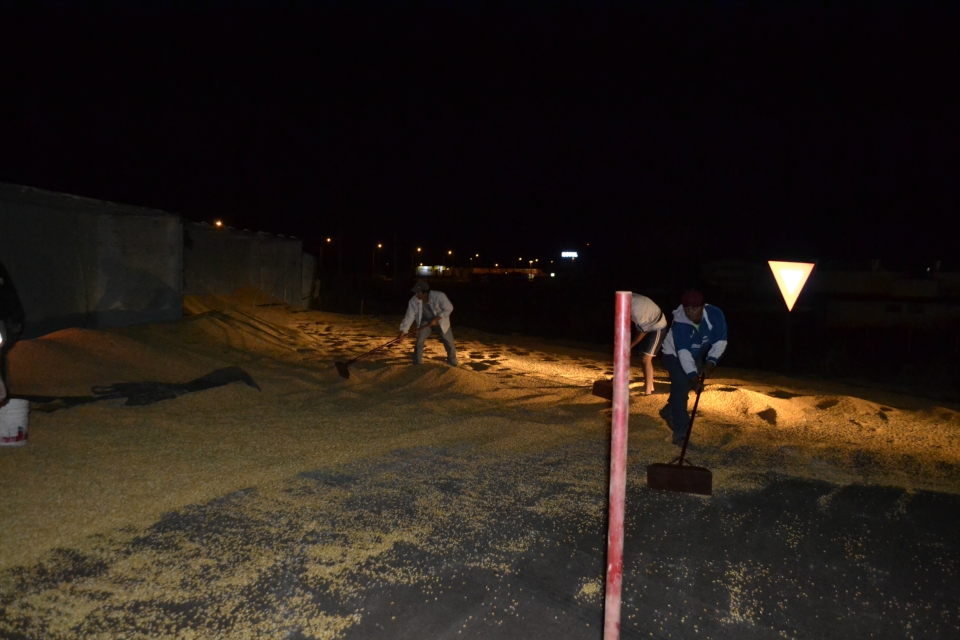 Carreta com 37 toneladas de Milho tomba em Nova Alvorada do Sul Carreta com 37 toneladas de Milho tomba em Nova Alvorada do Sul