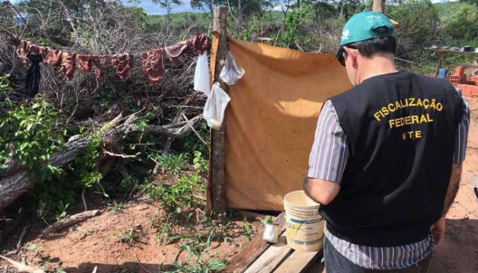 Trabalhador percorre 100 km a pé para denunciar escravidão e 17 são resgatados de fazendas