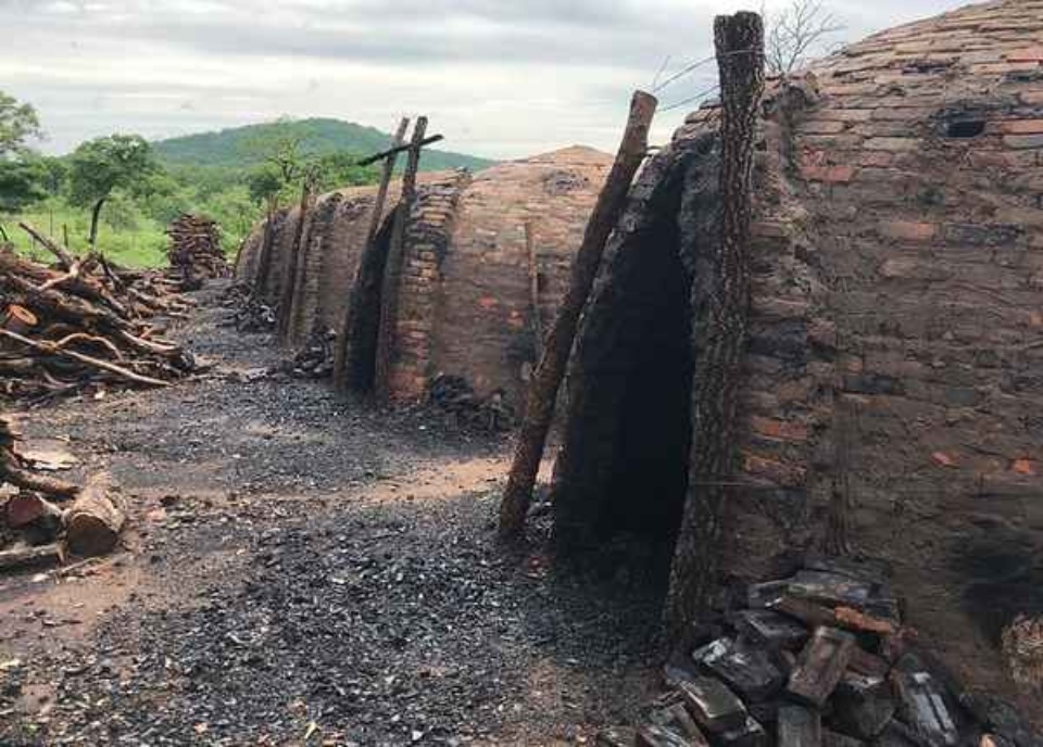 Trabalhador percorre 100 km a pé para denunciar escravidão e 17 são resgatados de fazendas