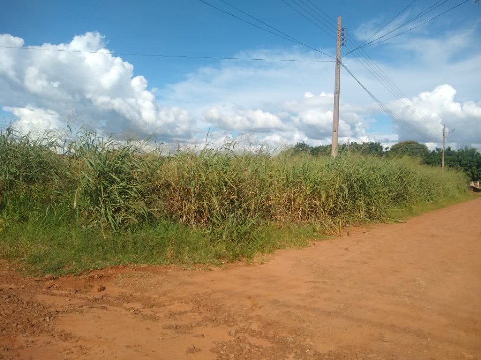 Lixo e mato em terreno ‘conhecido’ da prefeitura tiram o sossego de moradores