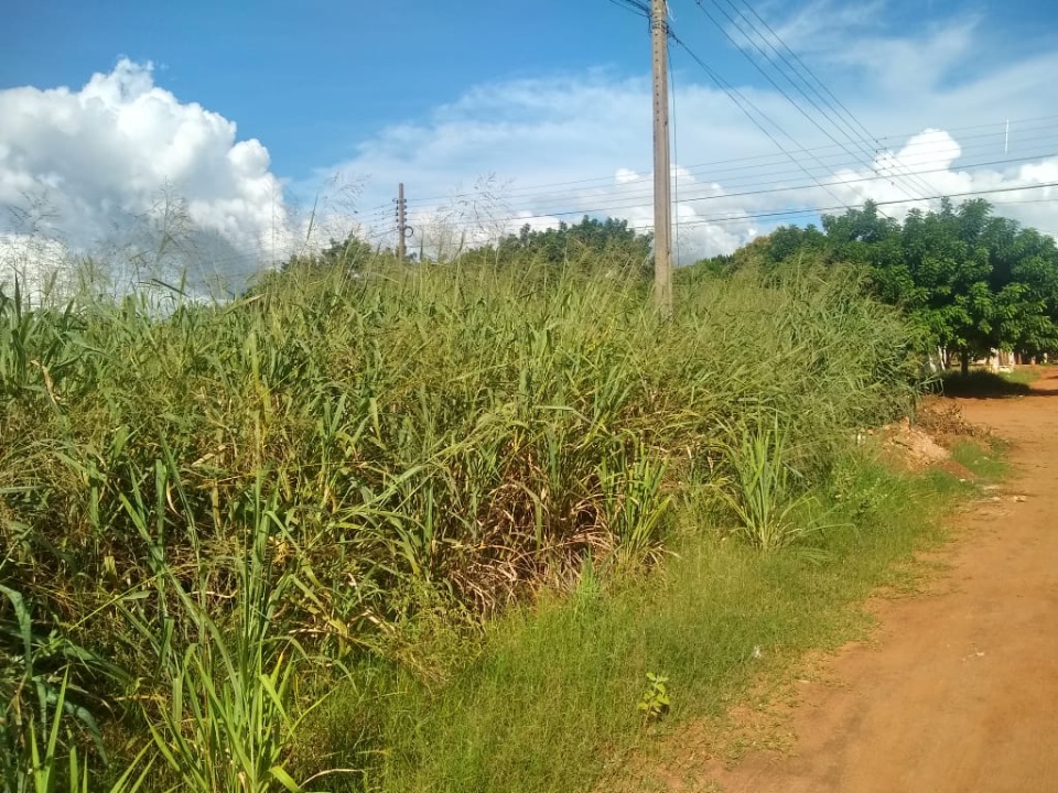 Lixo e mato em terreno ‘conhecido’ da prefeitura tiram o sossego de moradores