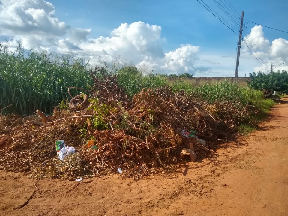 Lixo e mato em terreno ‘conhecido’ da prefeitura tiram o sossego de moradores
