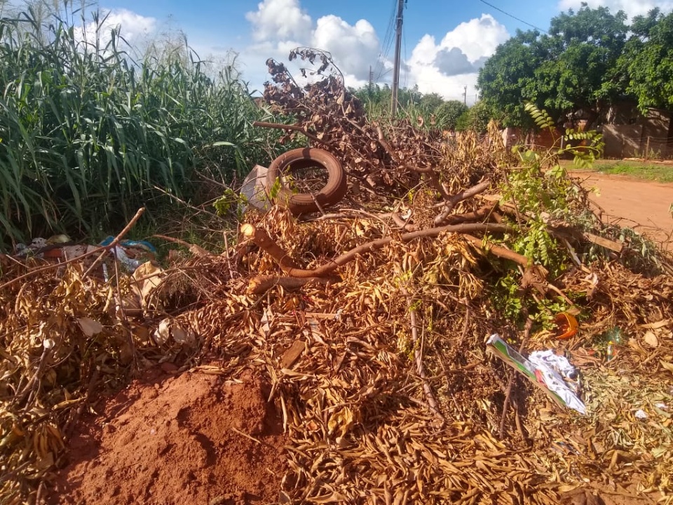 Lixo e mato em terreno ‘conhecido’ da prefeitura tiram o sossego de moradores