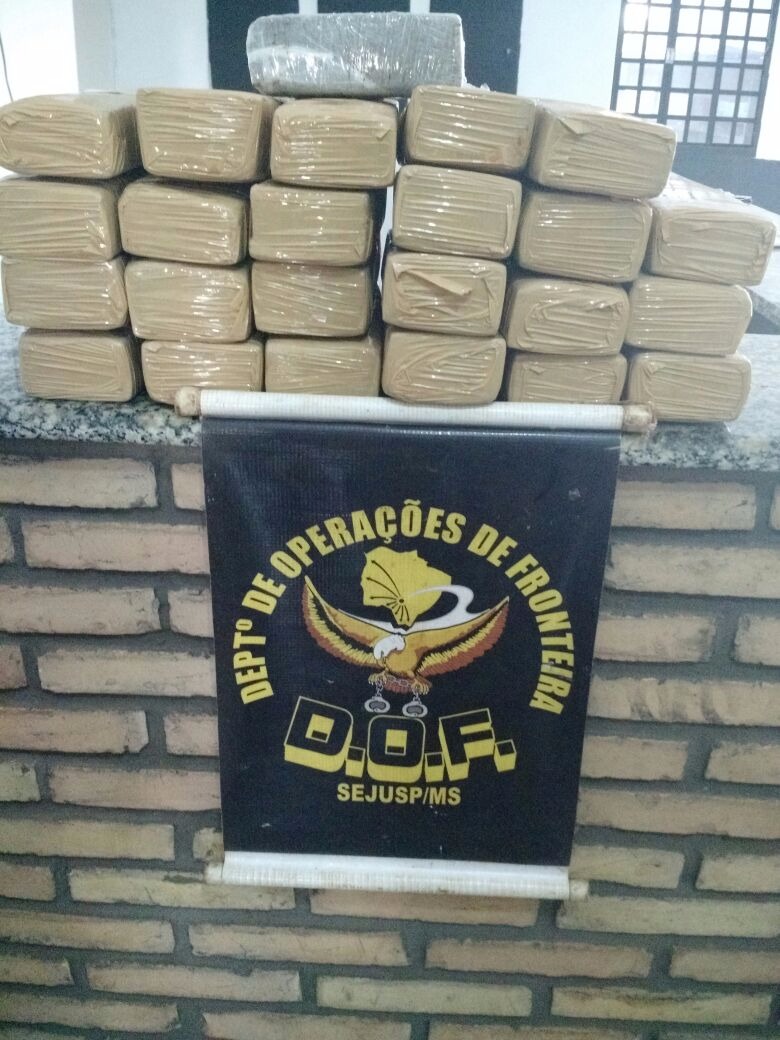 DOF divulga prejuízo de R$ 80 milhões para o narcotráfico