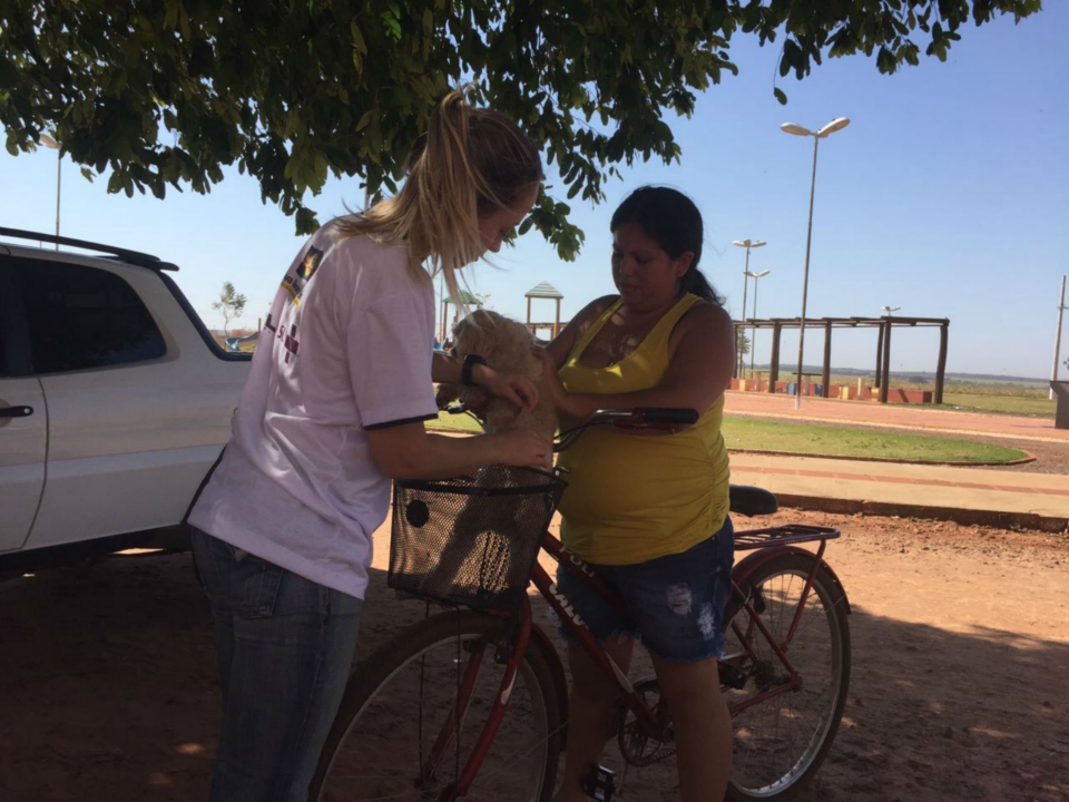 o 'Dia D' da Campanha Nacional de Vacinação antirrábica