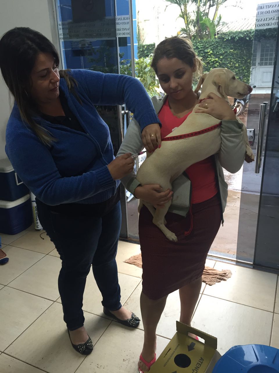 o 'Dia D' da Campanha Nacional de Vacinação antirrábica