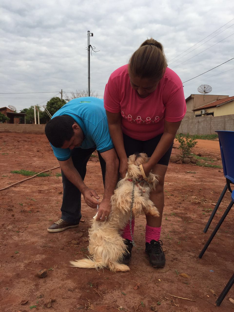 o 'Dia D' da Campanha Nacional de Vacinação antirrábica
