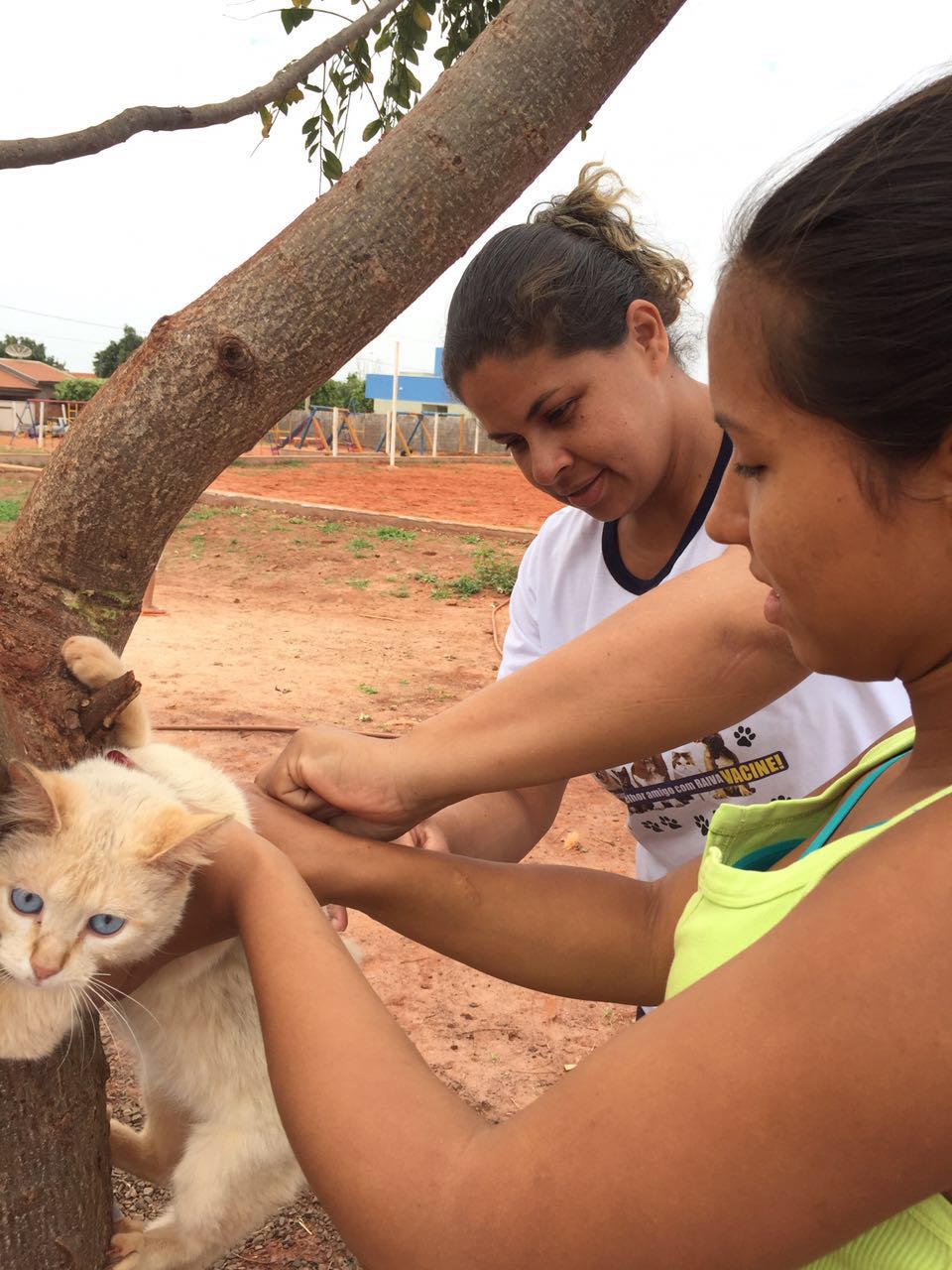 o 'Dia D' da Campanha Nacional de Vacinação antirrábica