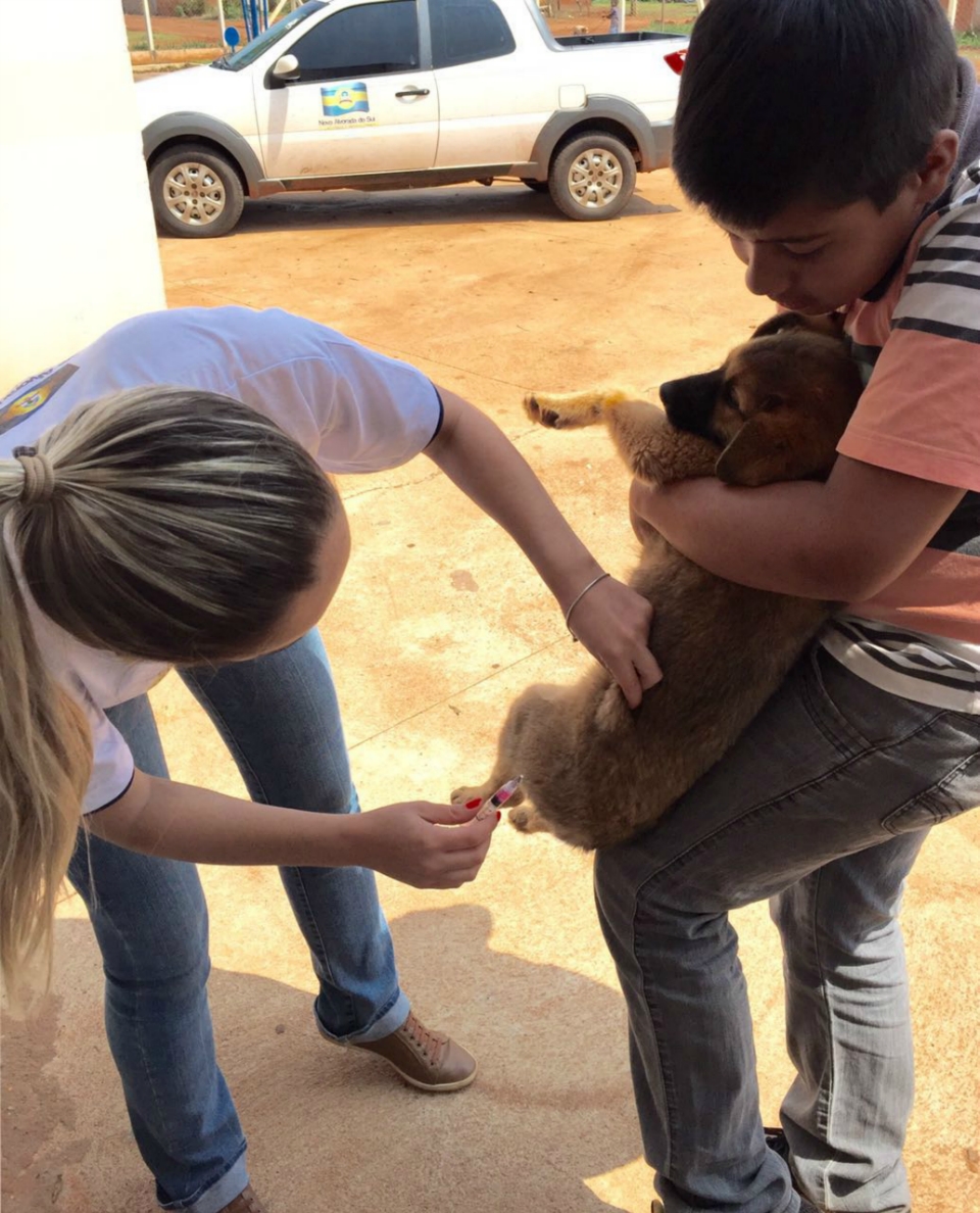 o 'Dia D' da Campanha Nacional de Vacinação antirrábica