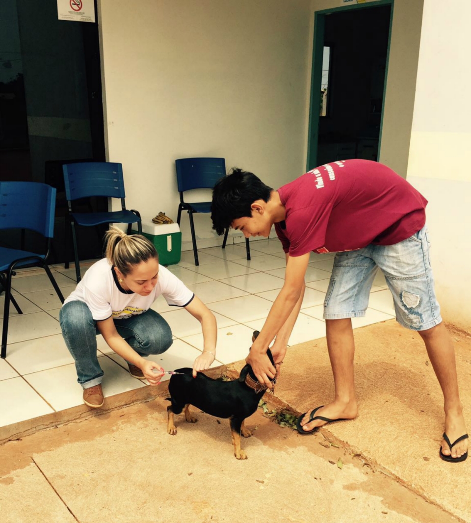 o 'Dia D' da Campanha Nacional de Vacinação antirrábica