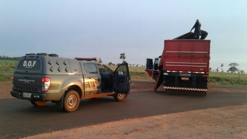 DOF apreende carga de cigarro avaliada em mais de 2 milhões de reais